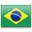 br-flag-logo